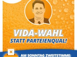 Wahlplakate 2024